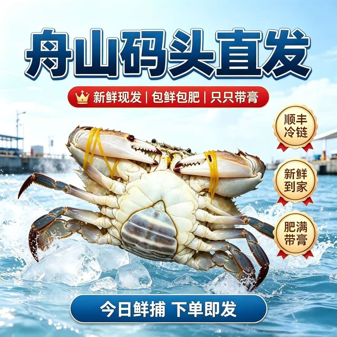 【保鲜不保活】舟山梭子蟹母蟹红膏蟹新鲜白蟹飞蟹海鲜水产顺丰