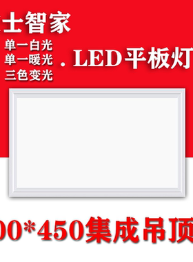 集成吊顶灯300*450LED平板灯铝扣板嵌入式30x45led厨房卫生间灯具