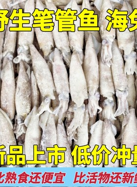 鲜活速冻笔管鱼无籽家庭火锅餐饮