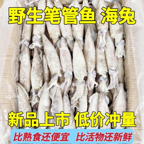 鲜活速冻笔管鱼无籽家庭火锅餐饮