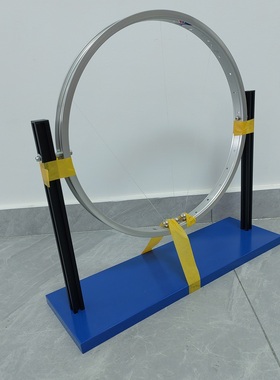 80163 翻转环试验器教学仪器实验器材教学演示科学探究