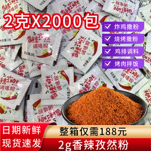 香辣孜然撒粉2g小包孜然调味粉烧烤烤肉香辣粉鸡排烤翅调料包商用