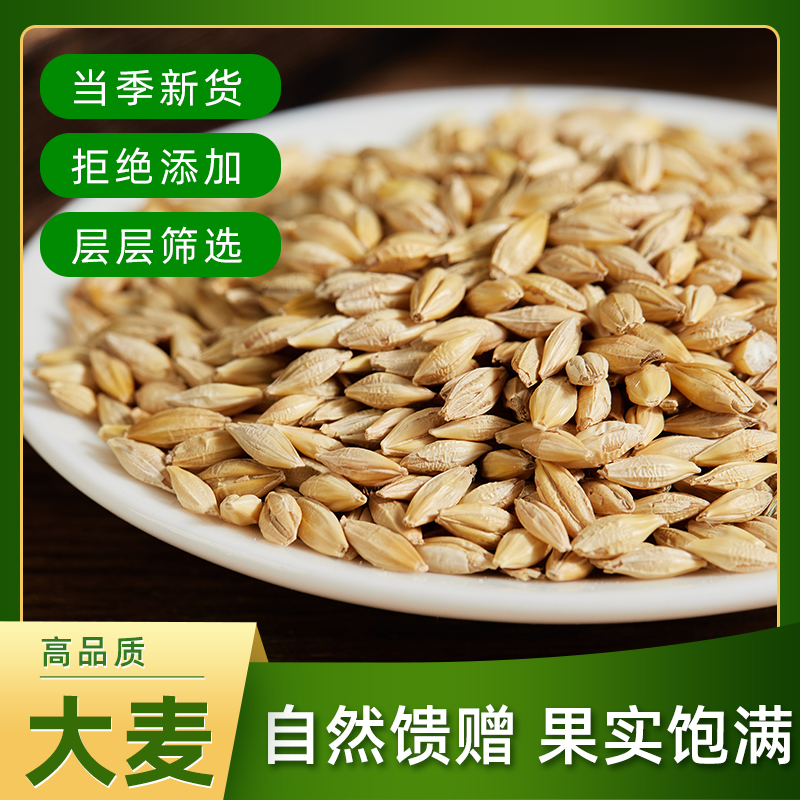 山西酿酒大麦粒带壳麦芽糖原料