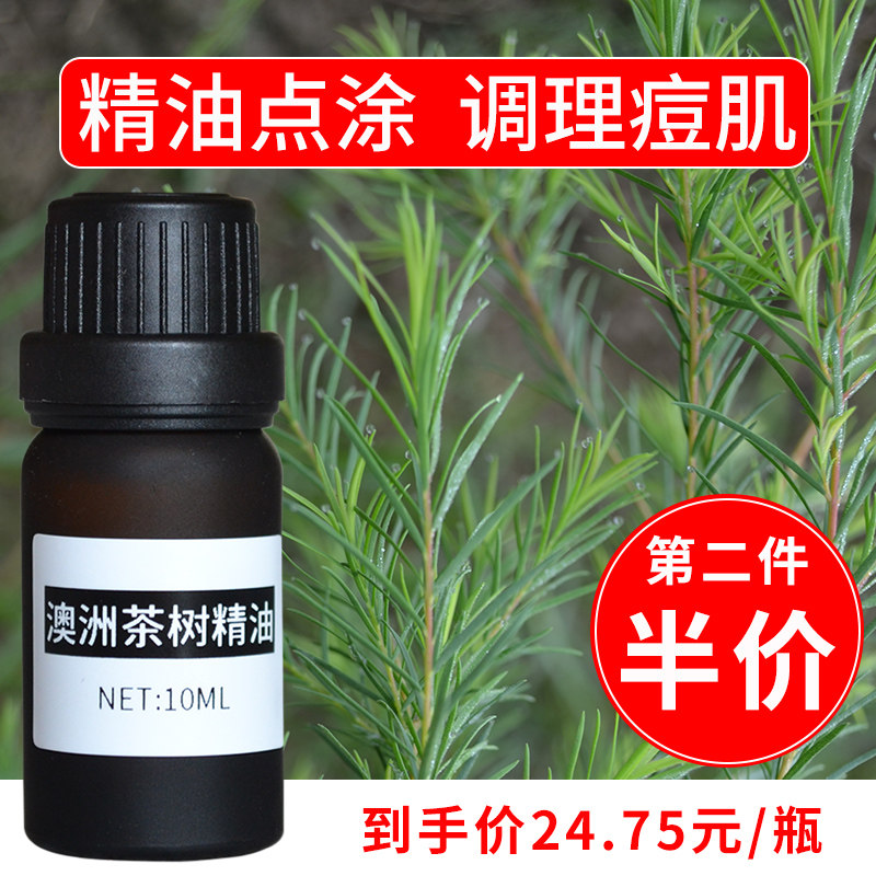茶树精油控油祛痘淡化痘印痘疤痕杀菌纯天然植物澳洲茶树单方精油