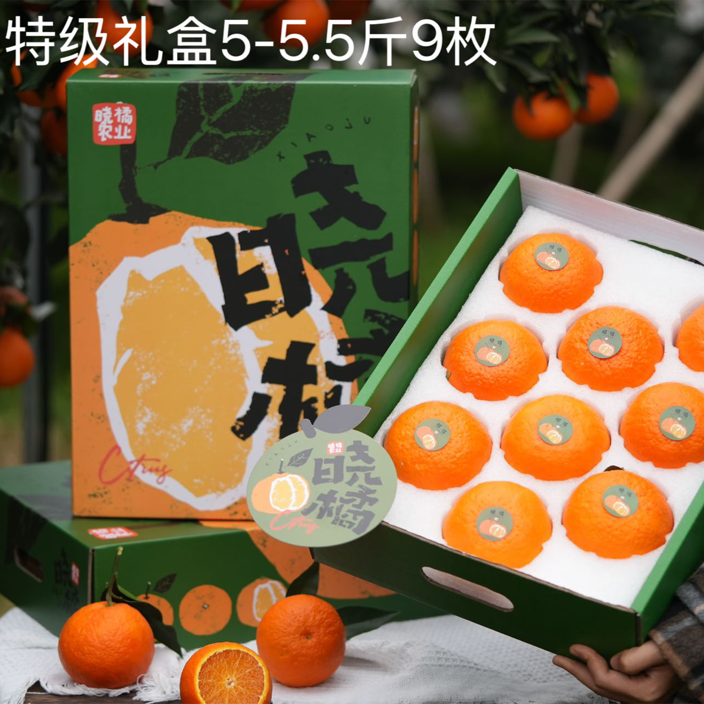 晓橘红美人精选特级礼盒