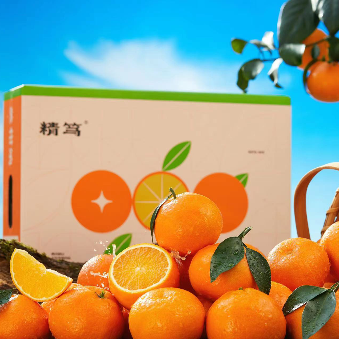 精笃美柑娘礼盒装产地直发