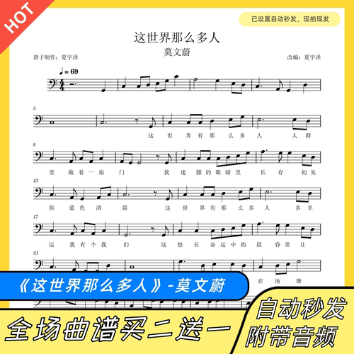 这世界那么多人大提琴谱莫文蔚