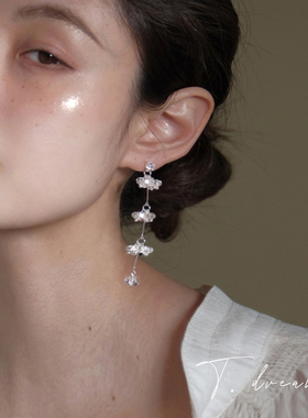 《精灵在跳舞》法式水晶流苏耳环女小众设计高级感耳饰耳钉2026款