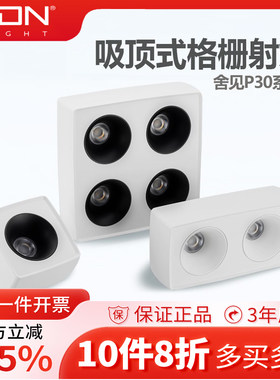 舍见P30明装格栅灯免开孔吸顶式