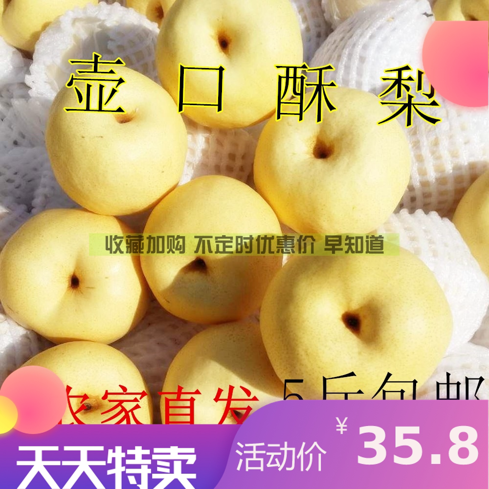 新果上市 延安宜川壶口酥梨特级5/10斤包邮水果陕西农家特产