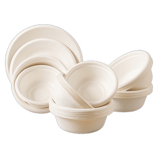 清清美一次性碗筷套装家用食品级纸盘纸碗野餐餐具可降解餐盘碟子