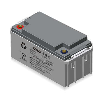 雷迪司UPS电池12V65AH铅酸蓄电池