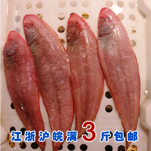 石浦海鲜  东海海捕新鲜舌头鱼/玉秃鱼  邋遢鱼  一斤3-4条