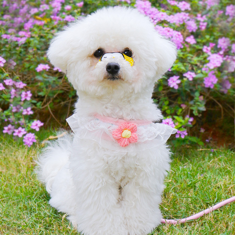 狗狗牵引绳遛狗绳幼犬狗链子小狗小型犬泰迪比熊博美胸背带背心式