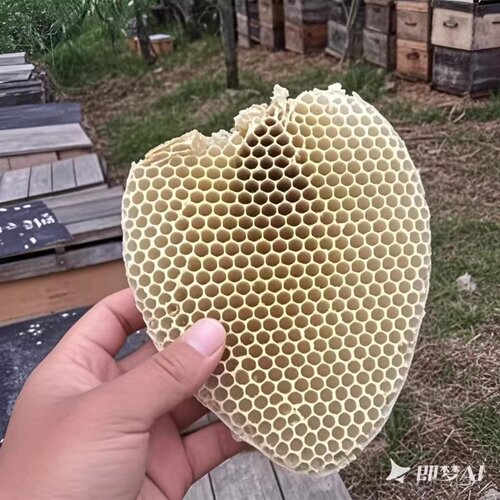 原生态蜂巢无添加天然巢脾