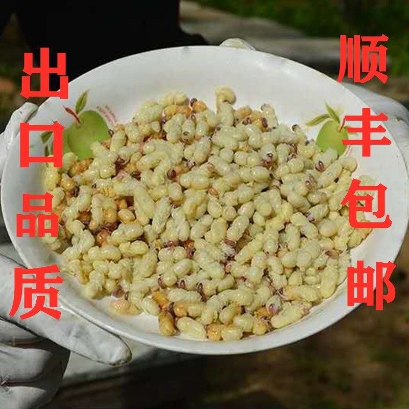 冰鲜雄蜂蛹 活体冷冻蜜蜂蛹 男士健康 营养滋补 蜜蜂仔 500克