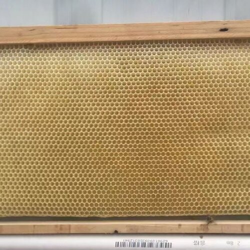 意蜂带框巢脾全新脾半新脾诱蜂养蜂专用养蜜蜂