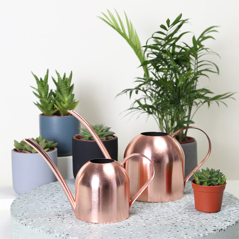 长嘴浇花壶long spout watering can garden spraying pot