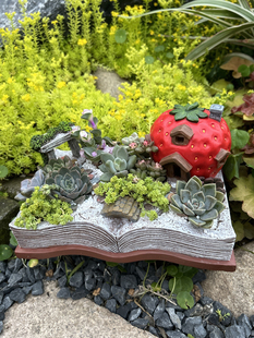 草莓屋太阳能书本韩式多肉花盆家居装饰花园摆件庭院阳台礼品礼物