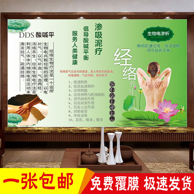 dds生物电理疗原理与作用海报宣传画 养生馆调理适应禁忌症广告图