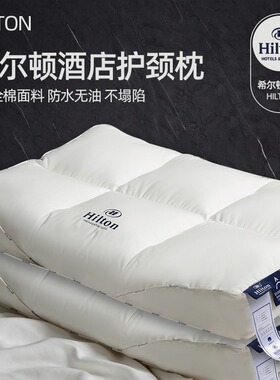 酒店枕头护颈椎助睡眠成人专用小枕芯家用一对记忆棉单人一只装亚