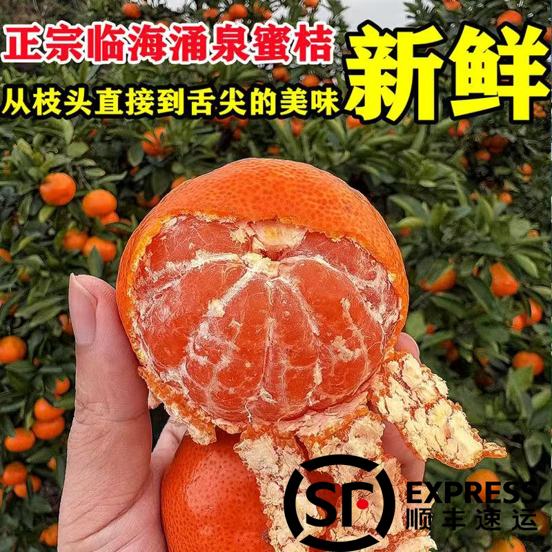 顺丰涌泉蜜桔高山无农药新鲜现摘青皮酸甜橘子薄皮无籽蜜桔孕妇