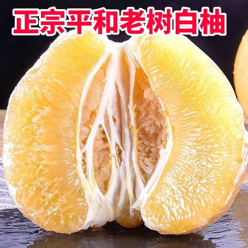正宗福建白心柚子平和管溪蜂糖蜜柚馆溪水果大新鲜不是文旦柚红心