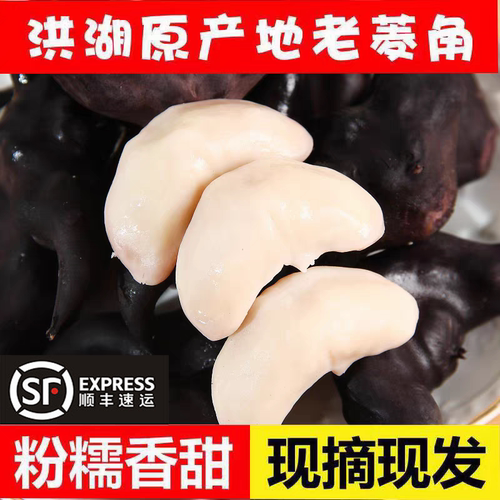 洪湖老菱角新鲜生新鲜菱角粉糯棱角凌角大果青现挖带壳5斤装
