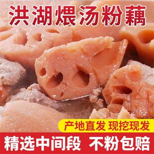 顺丰洪湖粉藕新鲜现挖湖北特产莲藕桂花正宗糯米糖藕煲汤当季蔬菜