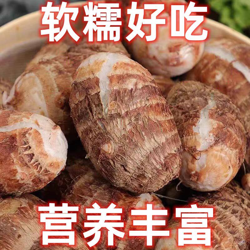 现挖小香芋新鲜红芽芋头仔农家自种红嘴小毛芋香芋艿非荔浦芋云南