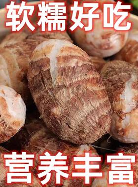 现挖小香芋新鲜红芽芋头仔农家自种红嘴小毛芋香芋艿非荔浦芋