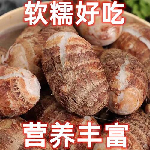 现挖小香芋新鲜红芽芋头仔农家自种红嘴小毛芋香芋艿非荔浦芋