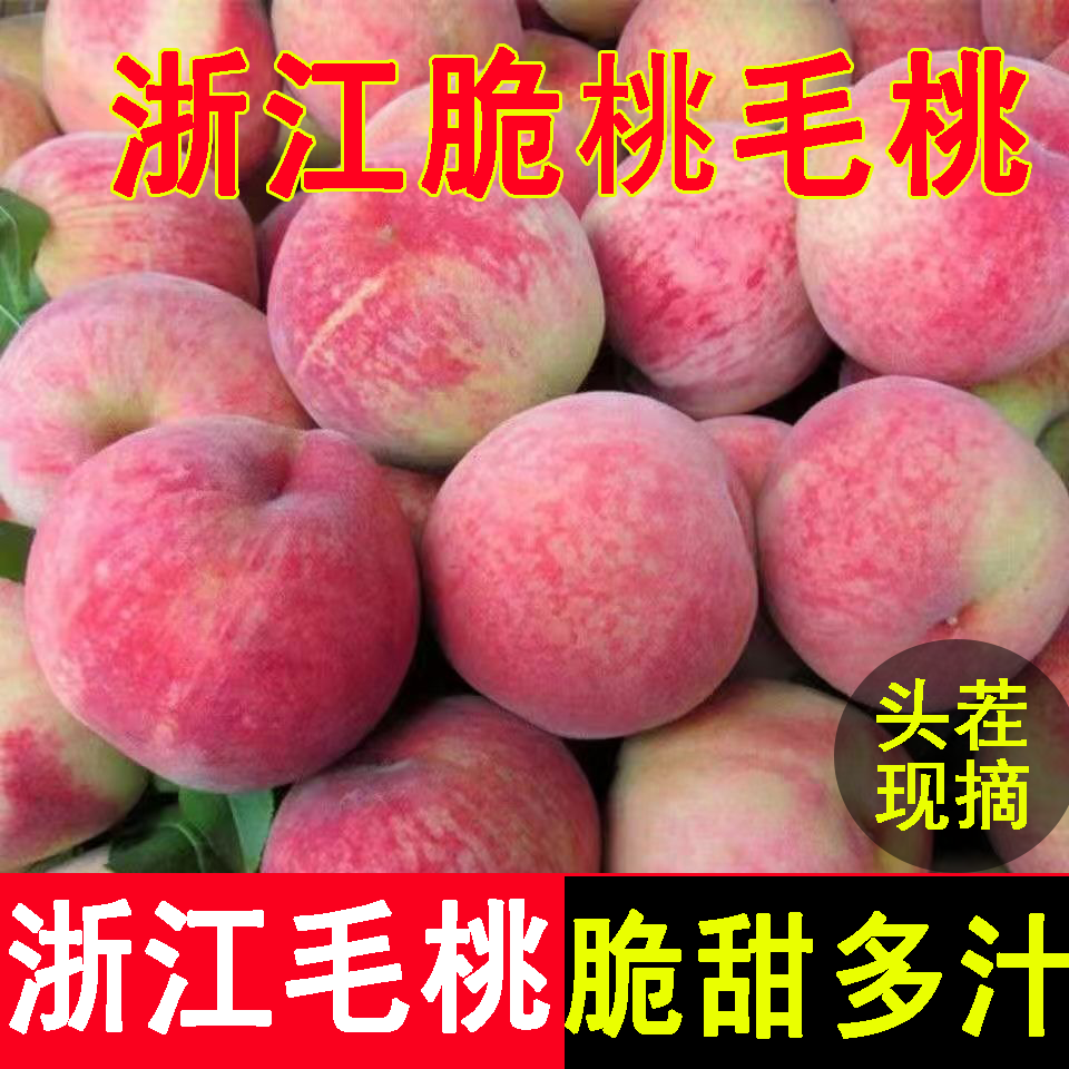 浙江脆蜜桃毛桃新鲜水果当季现摘