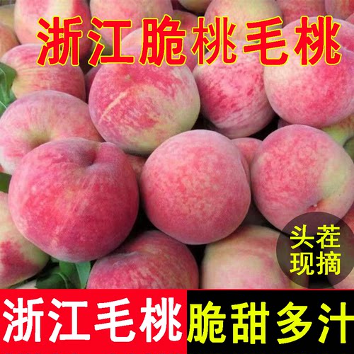 浙江脆蜜桃毛桃新鲜水果当季现摘