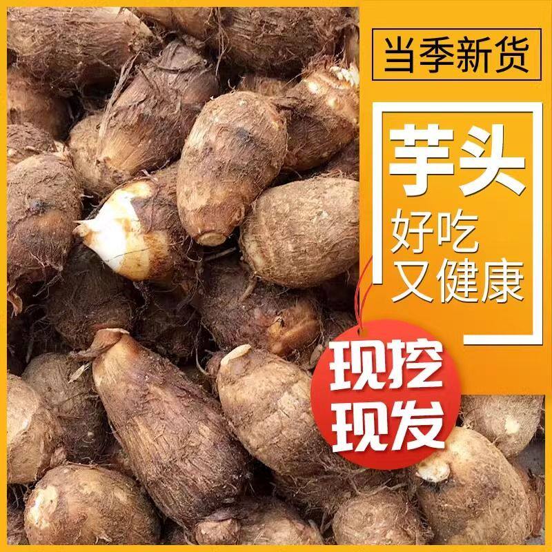芋头新鲜浙江奶香芋头小奶芋富硒牛奶芋头高山当季蔬菜香粉糯包邮