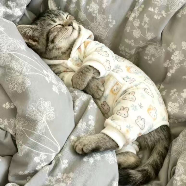 秋冬款猫咪保暖连体衣四脚双面绒宠物狗狗小型犬防掉毛小猫家居服