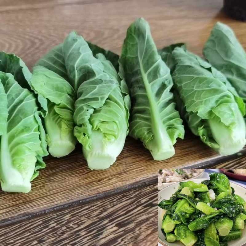 新鲜椰菜苗酒店特色蔬菜雪莲苗椰菜侧芽雪莲菜包菜芽500g,水产肉类/新鲜蔬果/熟食,叶菜类,淘宝优惠券,粉丝福利购,淘宝优惠卷