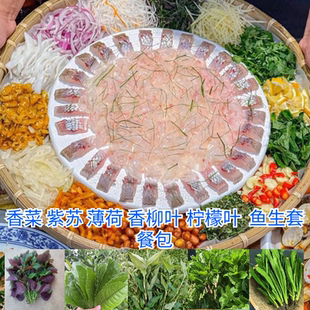 新鲜鱼生香料新鲜薄荷叶柠檬叶紫苏叶香菜叶香柳叶鱼生配料食材