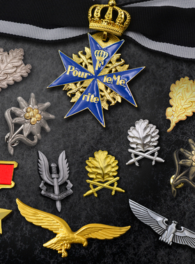 蓝色马克思金星紫心sas山地师雪绒花狙击手橡树叶十字勋章徽章