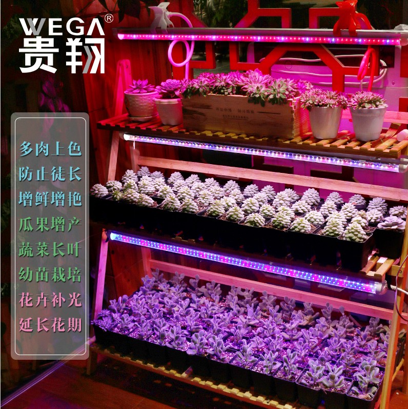 太阳植物生长灯植物补光灯