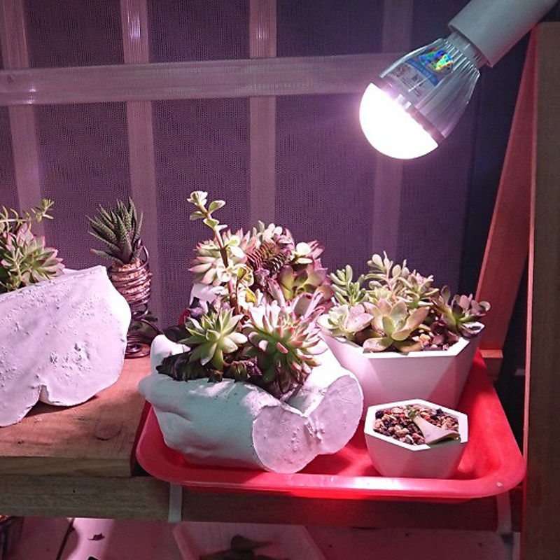 led植物生长补光灯多肉照明灯泡花卉水草育苗兰花室内科技种植灯