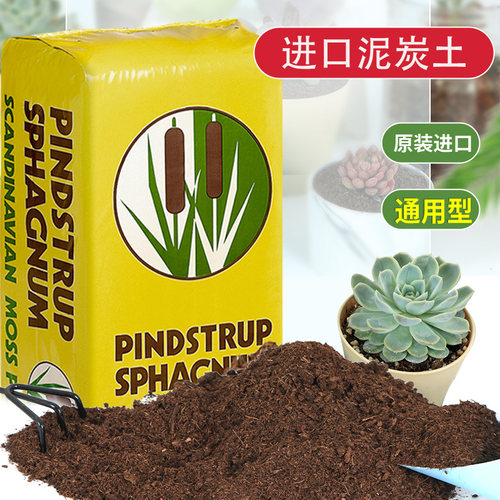 进口丹麦多肉植物泥炭土包邮