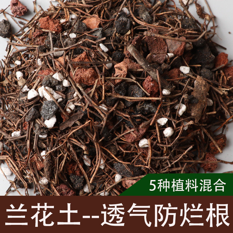 兰花专用土植料营养土石斛君子兰蝴蝶兰花土种植颗粒透气兰科植料