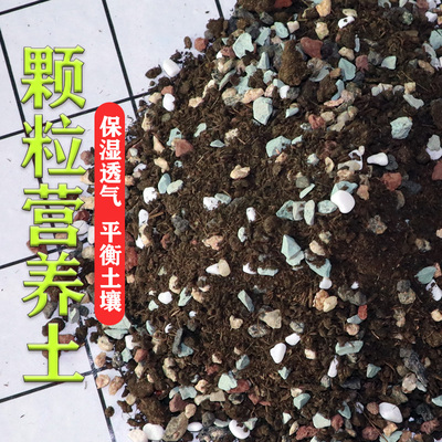 多肉专用颗粒土多肉植物营养土铺面石叶插纯颗粒种植土壤颗粒包邮
