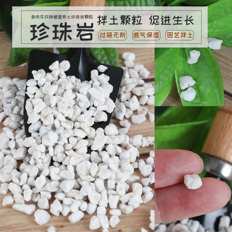 珍珠岩园艺大颗粒多肉兰花植料