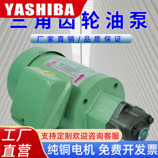 齿轮油泵电机摆线泵电动工业耐高温供油润滑机床车床液压齿轮泵