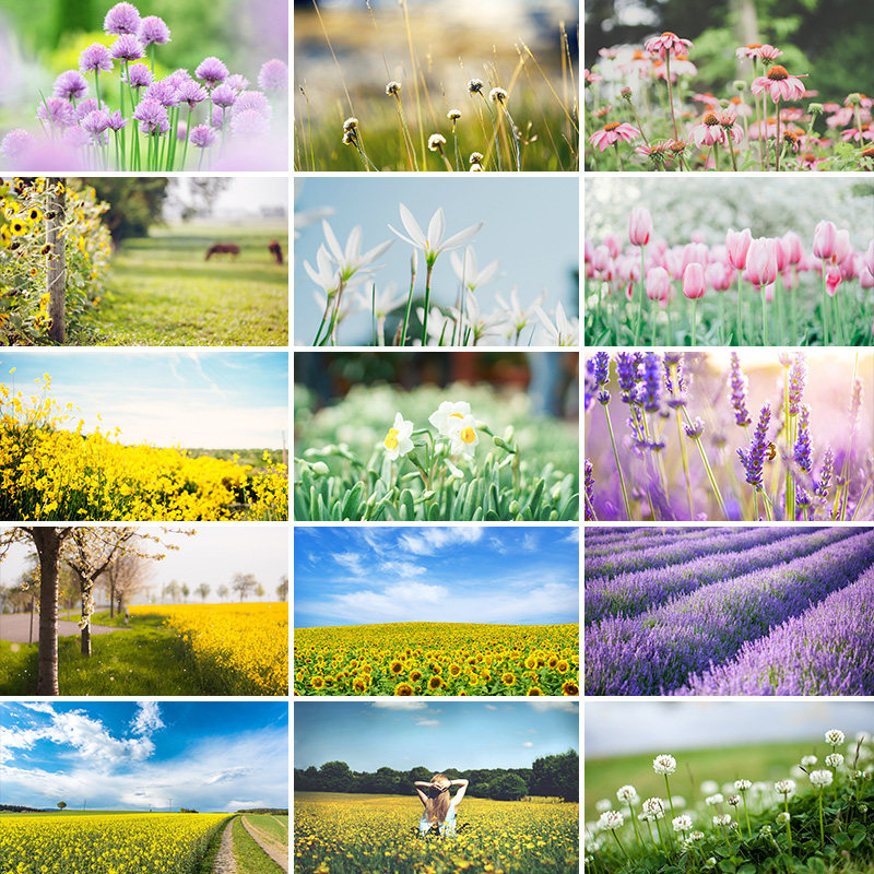 春暖花开桌面壁纸花卉田野风景图片文艺小清新唯美背景jpg素材