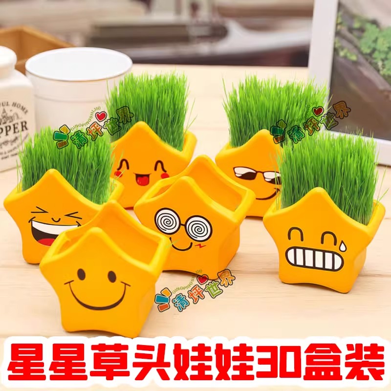 桌面diy绿植物 迷你小星星表情草头娃娃陶瓷草娃娃草盆栽儿童小草