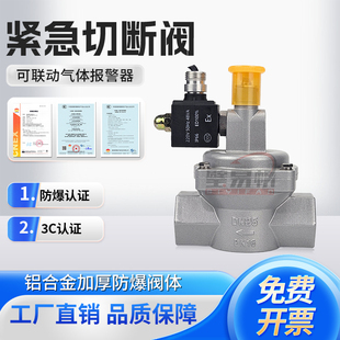 商用工业燃气紧急切断阀报警器天然气泄漏自动切断阀DN50 150