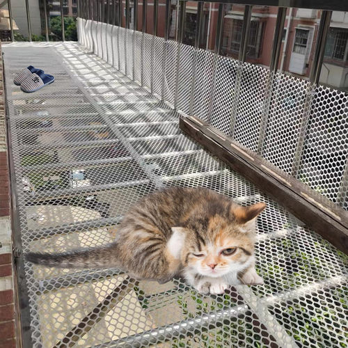 阳台防护网防盗窗垫网封窗防猫网